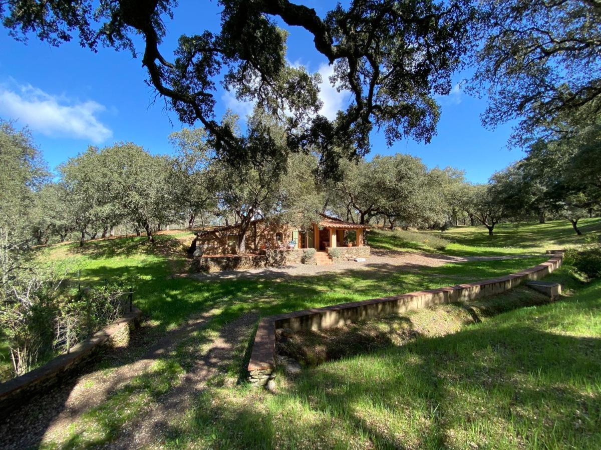 Valle Del Arroyo Casas Rurales - B&B - Solo Adultos Cortelazor Eksteriør bilde