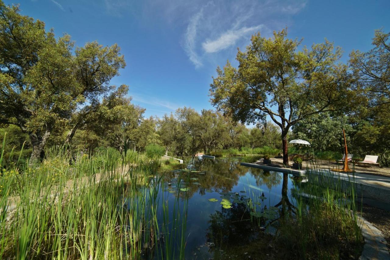 Valle Del Arroyo Casas Rurales - B&B - Solo Adultos Cortelazor Eksteriør bilde
